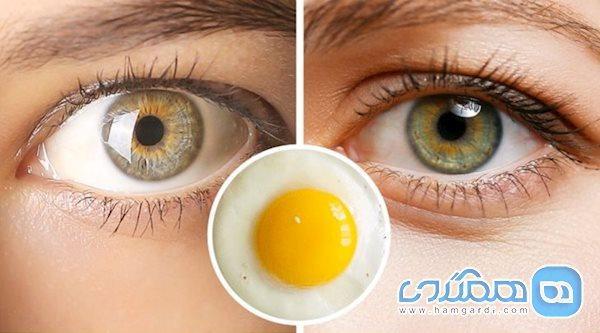 7 ماده غذایی برای افزایش رشد مژه ها