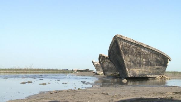وقتی گرانی چوب ، هنر قایق سازی را در سواحل شمال کشور غرق می نماید