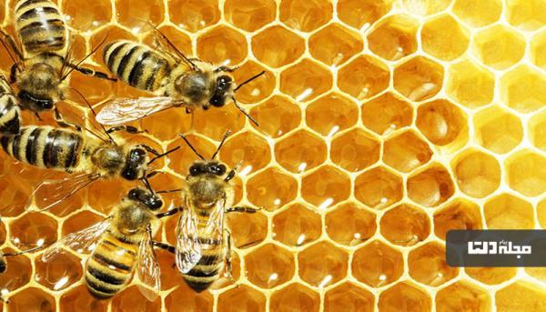 روش های تشخیص عسل طبیعی از عسل تقلبی